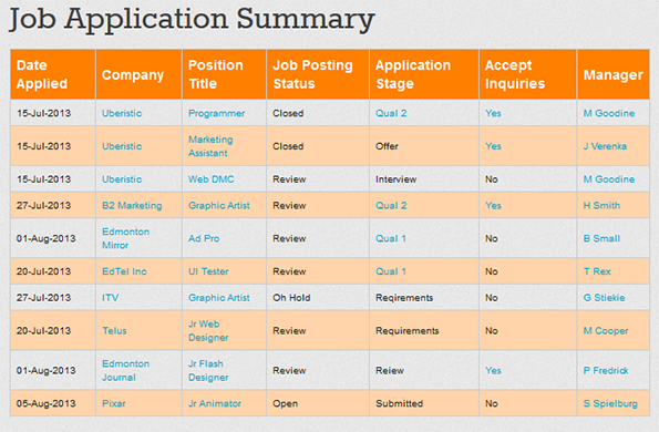 Job Application Summary